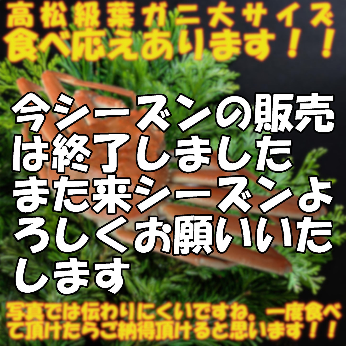 20057.高級松葉ガニ 大きいサイズ 23,250円