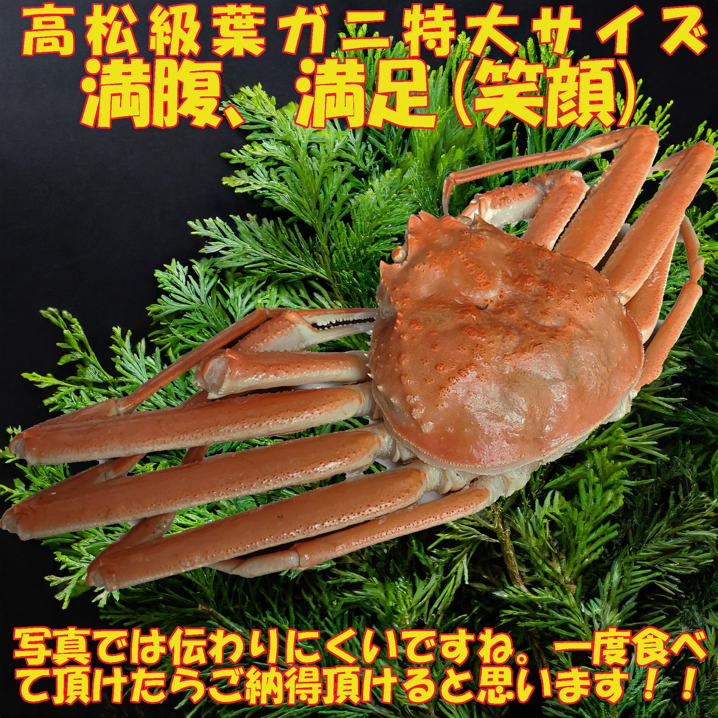 20058.高級松葉ガニ 特に大きいサイズ 44,850円