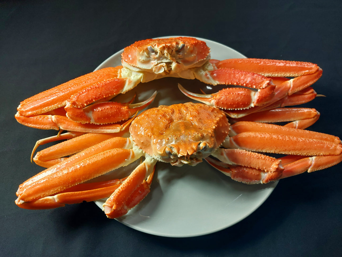 20071.若松葉ガニ姿茹で2枚セット 6,200円