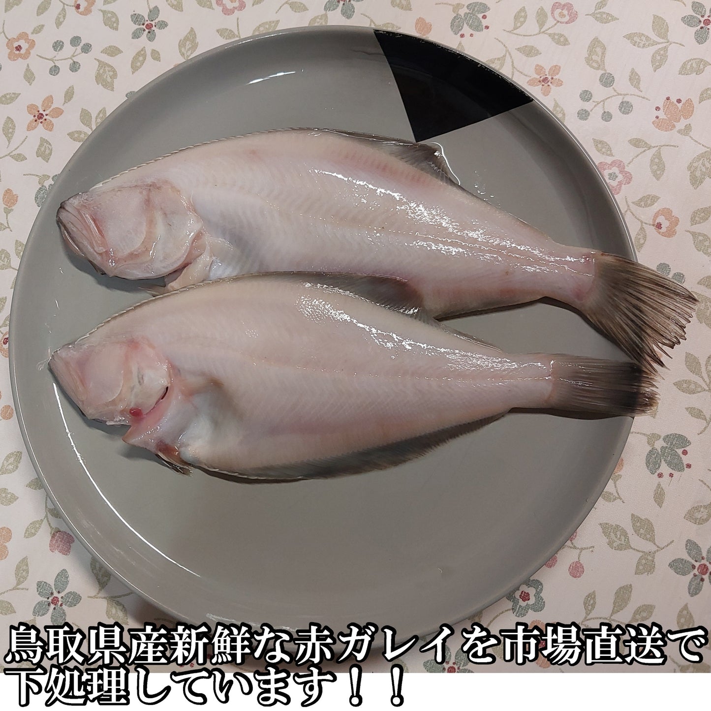 10341.煮付け用赤ガレイ4枚セット 2,700円
