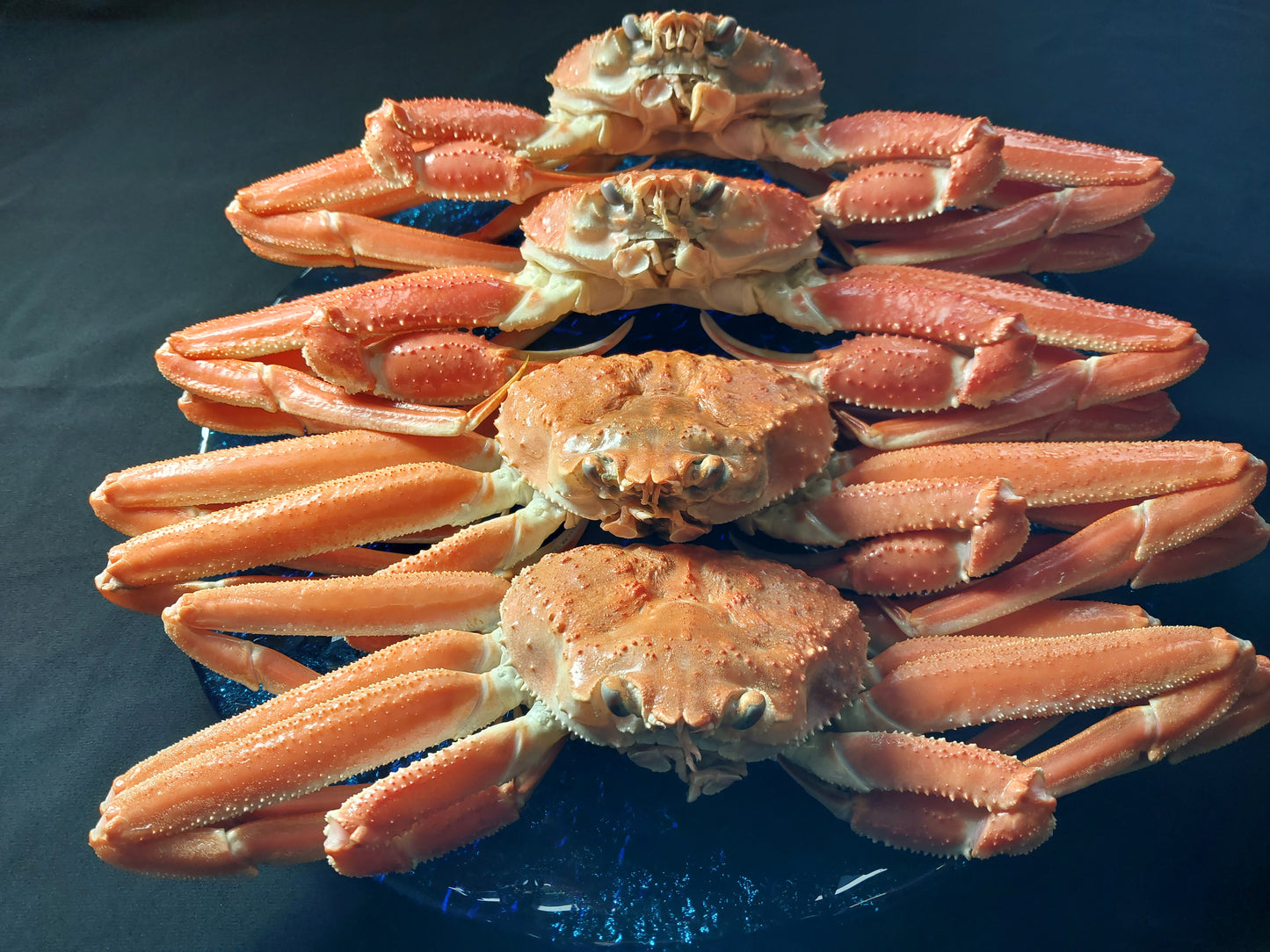 20073.若松葉ガニ姿茹で4枚セット 11,800円