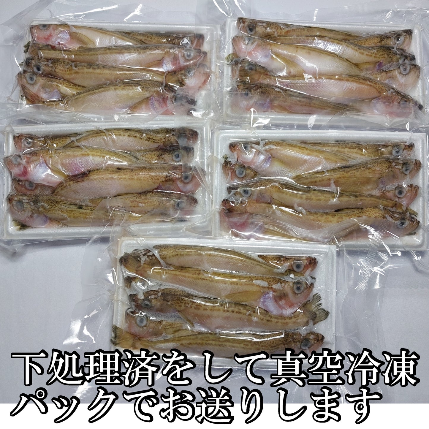 10346.煮付け用ハタ(はたはた)300g 5パックセット 5,900円
