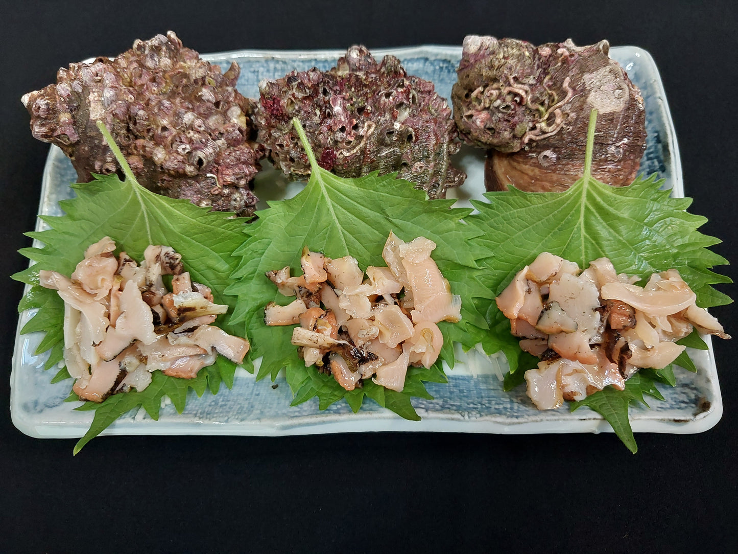 01101.夏季限定生サザエ 1㎏ 1,980円