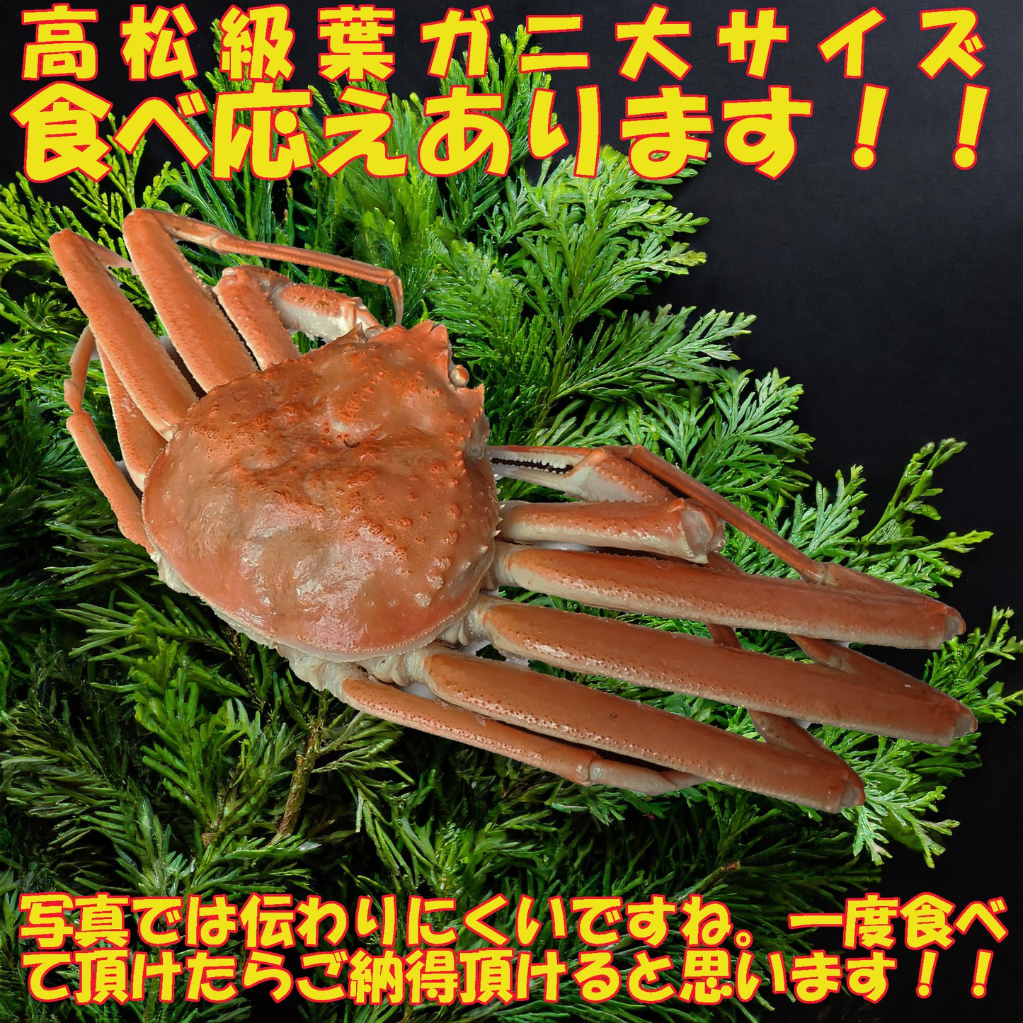 20057.高級松葉ガニ 大きいサイズ 23,250円