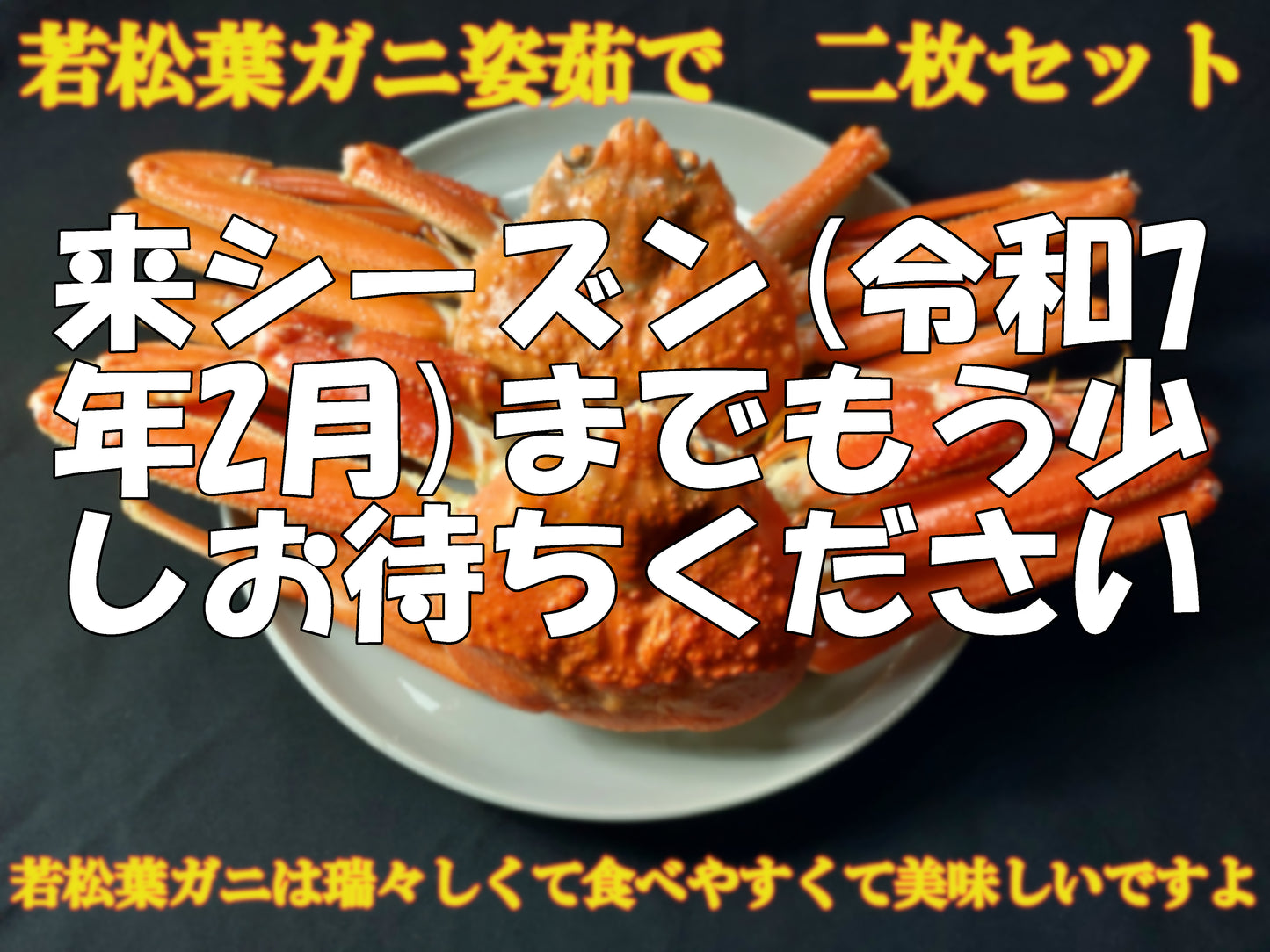 20071.若松葉ガニ姿茹で2枚セット　6,200円