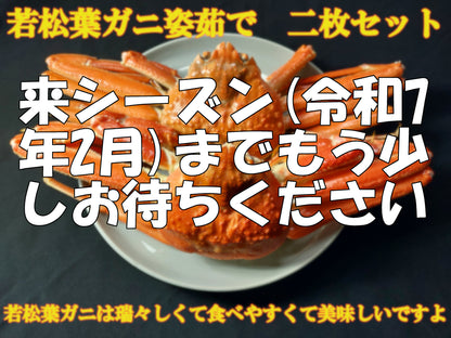 20071.若松葉ガニ姿茹で2枚セット　6,200円