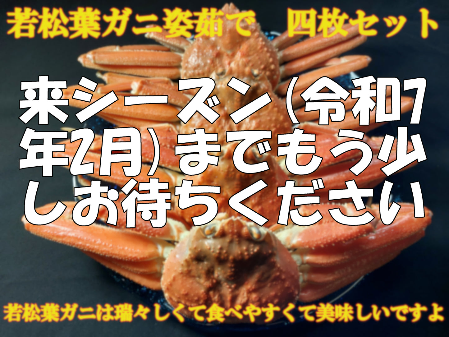 20073.若松葉ガニ姿茹で4枚セット　11,800円
