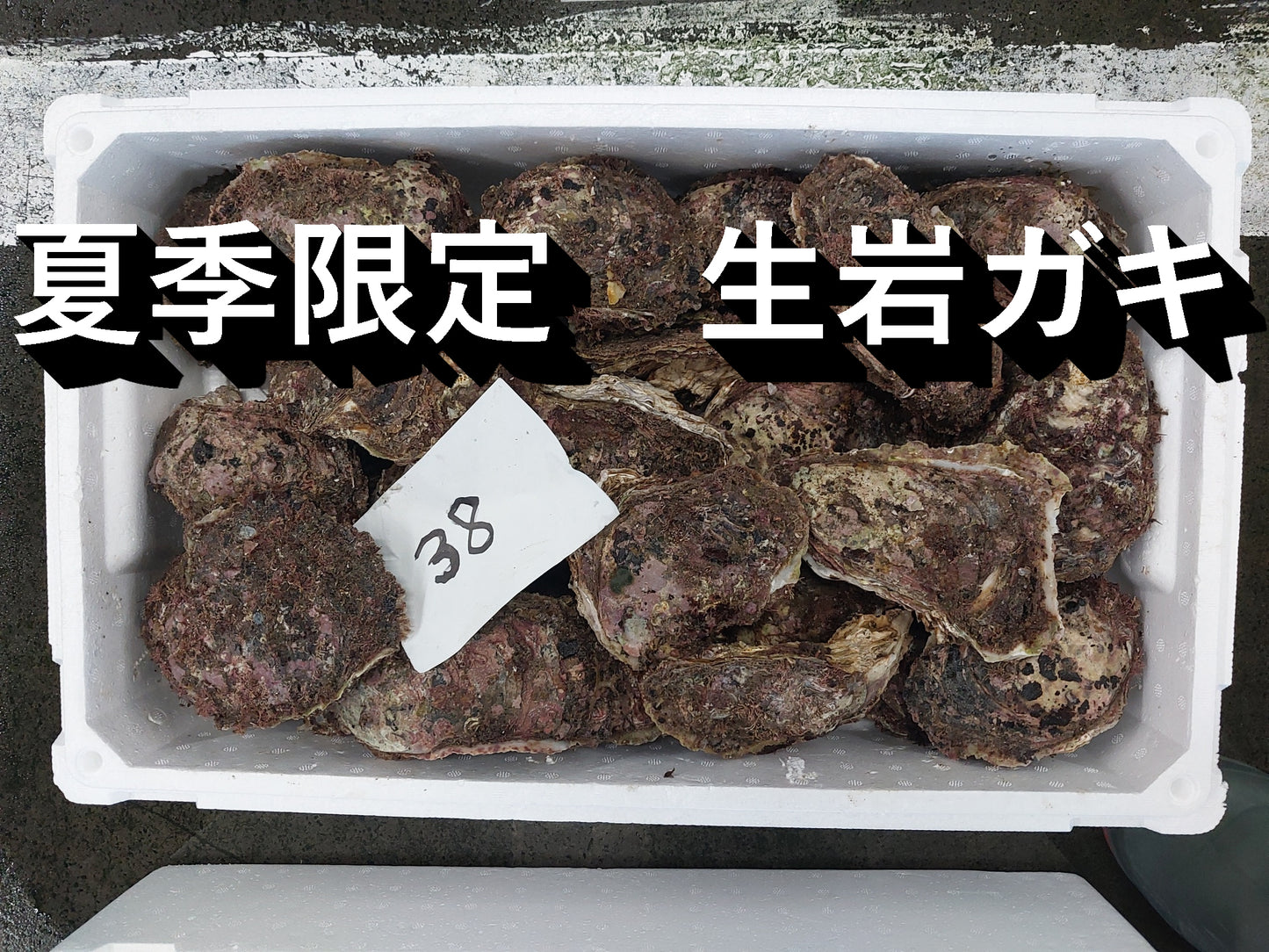 01111.夏季限定生岩ガキ　2,500円
