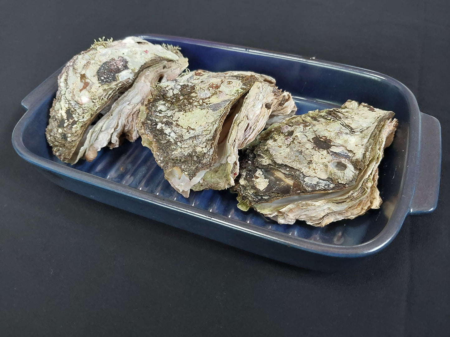 01111.夏季限定生岩ガキ　2,500円