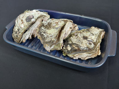 01111.夏季限定生岩ガキ　2,500円