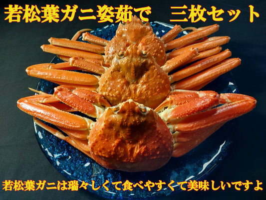 20072.若松葉ガニ姿茹で3枚セット　8,000円