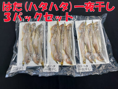 10372.はた(ハタハタ)　一夜干し5～6尾 3パックセット　4,100円