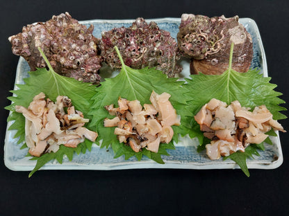 01101.夏季限定生サザエ　1㎏　1,980円