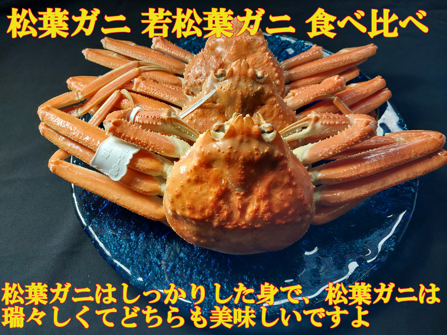 20074.松葉ガニ若松葉ガニ姿茹で食べ比べセット　10,980円